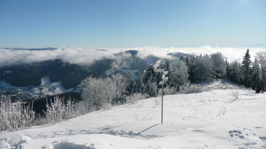 Hochblauen 45.JPG Mountain Hochblauen of the Black Forest near Badenweiler Own 2009-01-01 Brücke-Osteuropa Blauen Badenweiler Views from Hochblauen Snow in Landkreis Lörrach Winter 2008-2009 in Landkreis Lörrach Hoar frost in ...