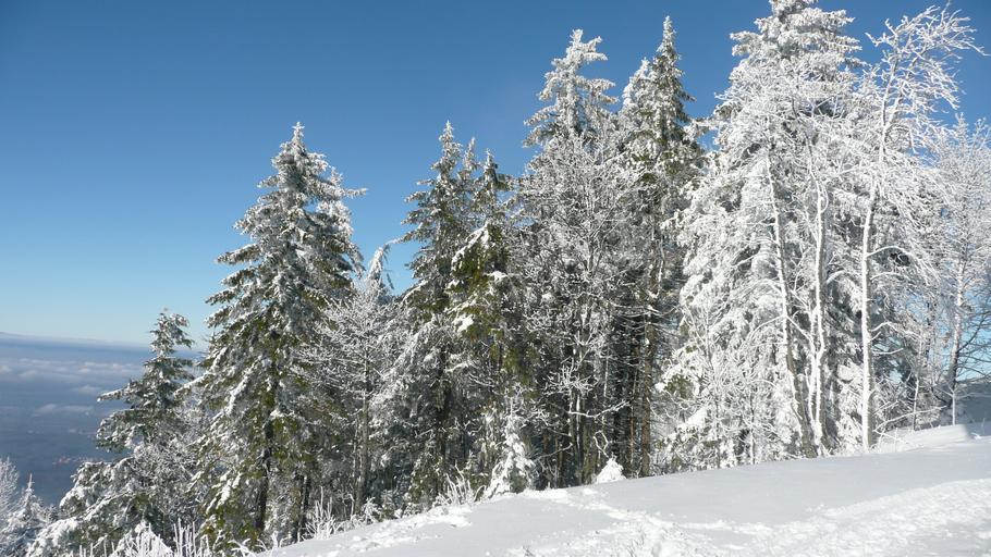 Hochblauen 19.JPG Mountain Hochblauen of the Black Forest near Badenweiler Own 2009-01-01 Brücke-Osteuropa Blauen Badenweiler Snow in Landkreis Lörrach Winter 2008-2009 in Landkreis Lörrach