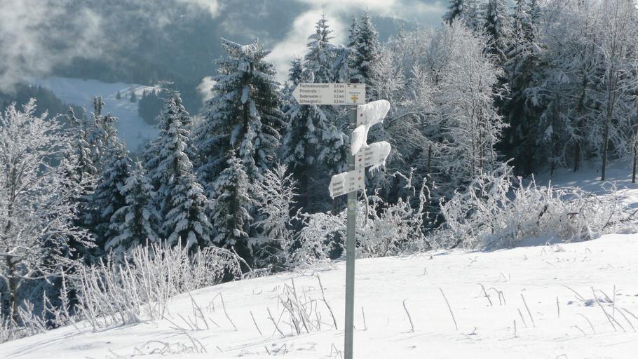 Hochblauen 47.JPG Mountain Hochblauen of the Black Forest near Badenweiler Own 2009-01-01 Brücke-Osteuropa Blauen Badenweiler Snow in Landkreis Lörrach Winter 2008-2009 in Landkreis Lörrach Hoar frost in Baden-Württemberg