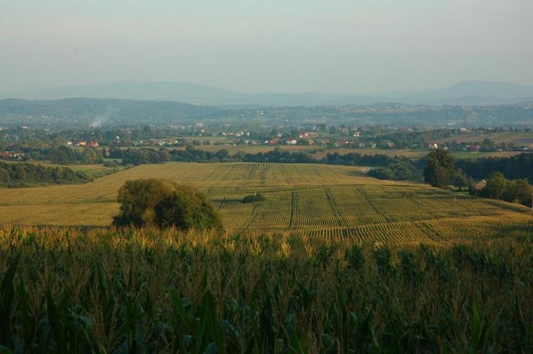 Gmina biskupice widok na beskidy.jpg en Gmina Biskupice pl Gmina Biskupice widok na Beskidy own Daisy50 2009 Cc-zero Gmina Biskupice