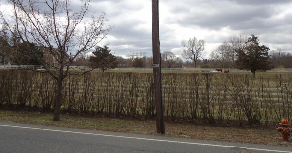 Cows and mansions in Rumson NJ.JPG en Cows on a farm in Rumson New Jersey 2013-03-02 01 56 31 own Tomwsulcer cc-zero Uploaded with UploadWizard Uncategorized 2013 March 3