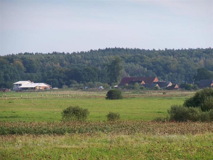Rudno-widok osady.JPG pl Rudno - widok osady własne Brogaj 2010-09-24 Rudno West Pomeranian Voivodeship