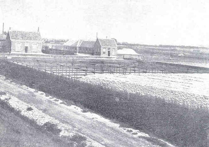 Holland An establishment, Workshops in the background with reservoir ponds.jpeg check categories 15 August 2015 2 Bergen-op-Zoom Holland An establishment Workshops in the background with reservoir ponds Subject Oyster culture Geographic ...