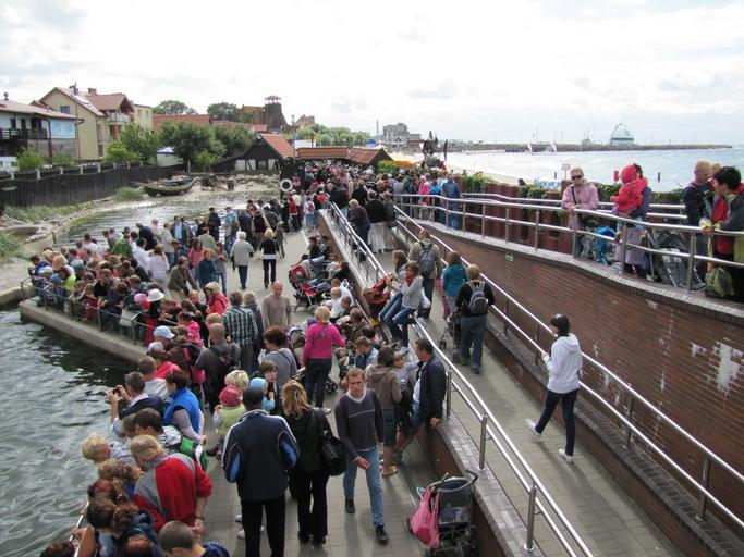 HEL, AB. 042.JPG pl FOKARIUM BASEN Z FOKAMI 2010-08-26 11 21 25 own Antekbojar other versions cc-zero Uploaded with UploadWizard Marine Station of Gdańsk University in Hel Poland