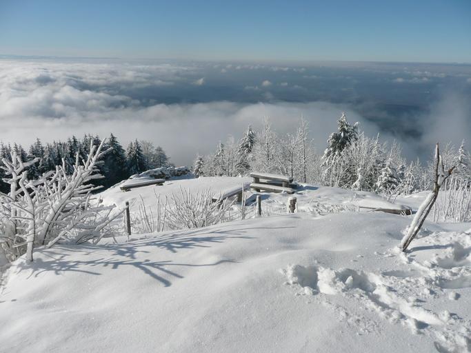 Hochblauen 15.JPG Mountain Hochblauen of the Black Forest near Badenweiler Own 2009-01-01 Brücke-Osteuropa Blauen Badenweiler Views from Hochblauen Snow in Landkreis Lörrach Winter 2008-2009 in Landkreis Lörrach Hoar frost in ...