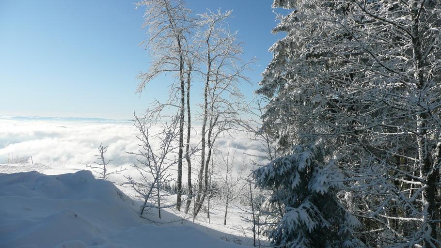 Hochblauen 24.JPG Mountain Hochblauen of the Black Forest near Badenweiler Own 2009-01-01 Brücke-Osteuropa Blauen Badenweiler Views from Hochblauen Snow in Landkreis Lörrach Winter 2008-2009 in Landkreis Lörrach Hoar frost in ...