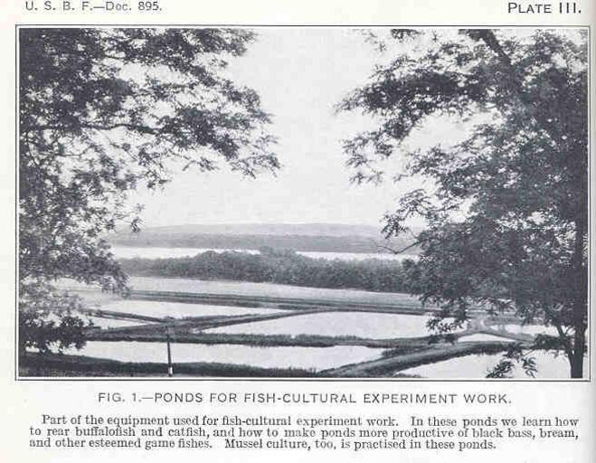 Ponds for Fish-Cultural Experiment Work.jpeg check categories 7 September 2015 4 Ponds for Fish-Cultural Experiment Work Part of the equipment used for fish-cultural experiment work In these ponds we learn how to rear buffalofish and ...