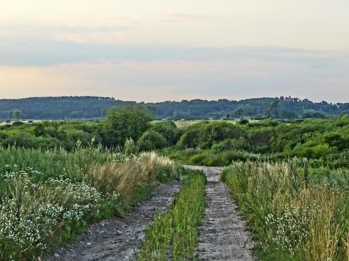 Lochowo dolina bydg-nakielska 07-2014.jpg pl Łochowo gmina Białe Błota powiat bydgoski Widok na Dolinę Kanału Bydgoskiego 2014-07-15 20 07 42 own Pit1233 53 1347 17 845549722222 cc-zero Uploaded with UploadWizard Dolina Środkowej ...