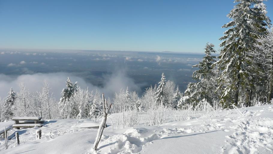 Hochblauen 16.JPG Mountain Hochblauen of the Black Forest near Badenweiler Own 2009-01-01 Brücke-Osteuropa Blauen Badenweiler Views from Hochblauen Snow in Landkreis Lörrach Winter 2008-2009 in Landkreis Lörrach Hoar frost in ...